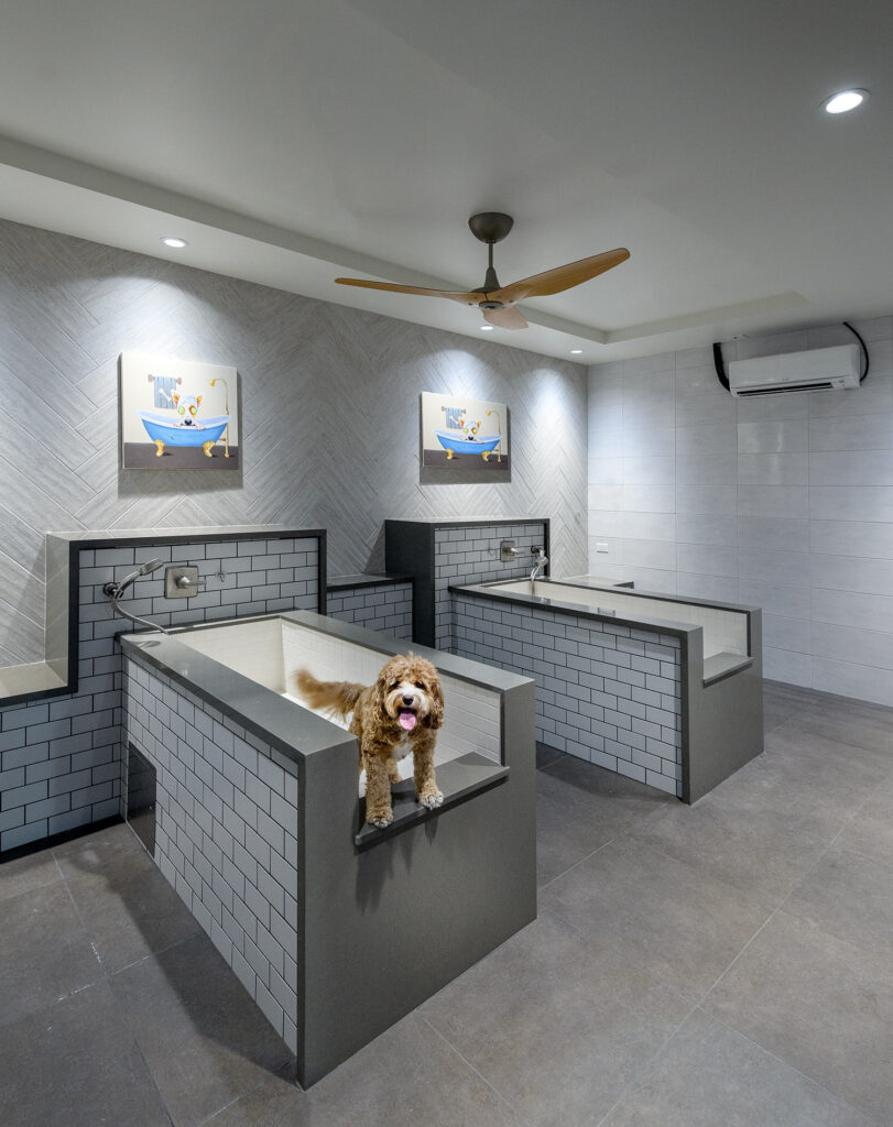 Dog wash spa with ceiling fan and washing bays